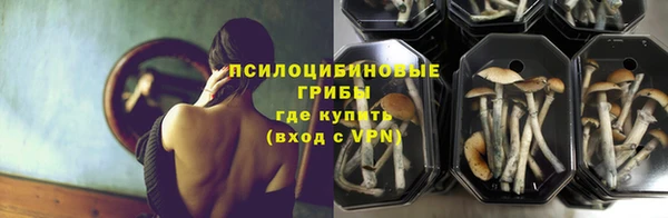 спайс Дмитров