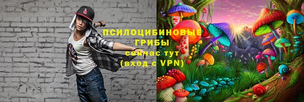 синтетический гашиш Дмитровск
