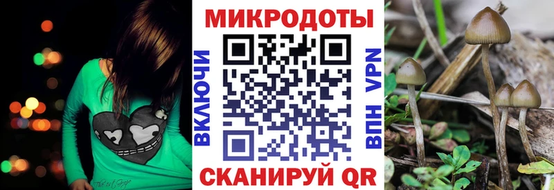 Галлюциногенные грибы GOLDEN TEACHER МЕГА ссылки это какой сайт Ростов